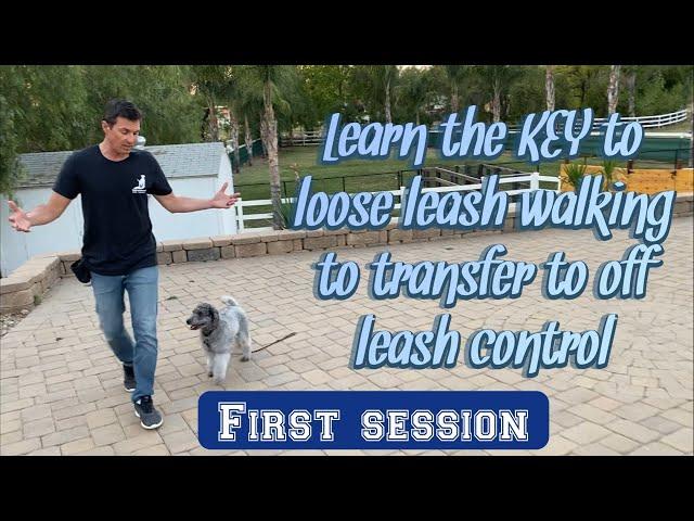 Does your dog pull? Want it to walk off leash?  Watch!