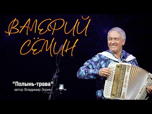 Песня "ПОЛЫНЬ-ТРАВА". Запись с концерта Валерия СЁМИНА в ПЕРМИ 6 января 2025 г. ️ Душевно и красиво