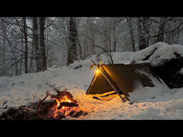 Surviving a Freezing Night in the Wild Forest: Bushcraft Camping at -14°C Without Sleeping Bag