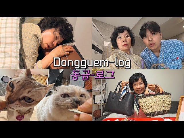 [동금로그] 똥입구녕 내시경 싹 받고 헤롱헤롱 고양이 추릅주고 과일먹고 와츠인마이백했다잉