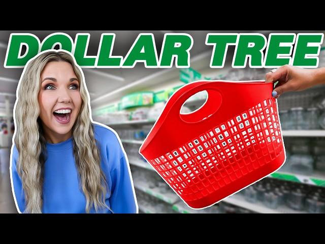 Everyone will be buying DOLLAR TREE ORGANIZATION when they see this!