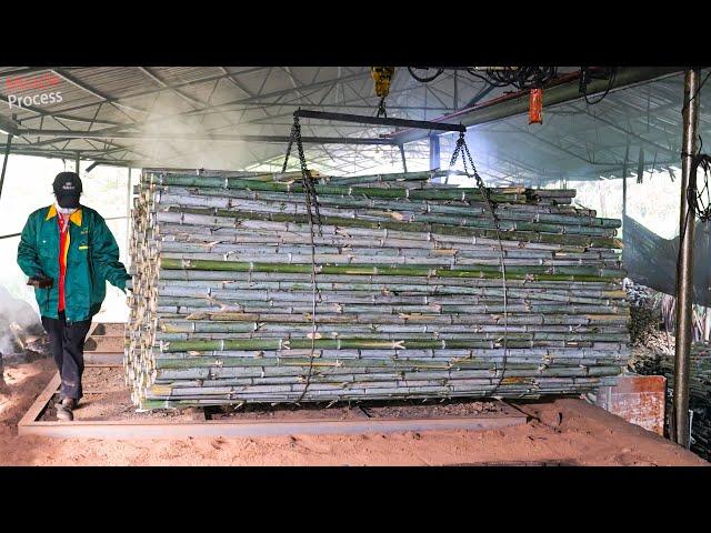 An In Depth Look at the Bamboo Charcoal Manufacturing Process in the Chinese Facilities