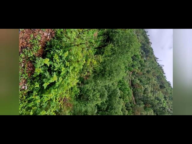 14 Nali Himalaya view commercial land for Sale malla ramgarh nainital, Uttrakhand