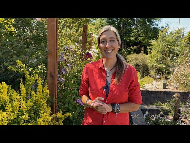 Rogerson Clematis Collection: Display Garden Tour