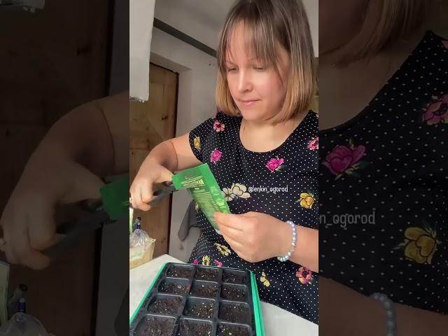 Больше историй в телеграм-канале ЛЕНКИН ОГОРОД. Ссылка в описании