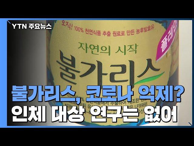 남양유업 '불가리스 코로나 억제' 주장..."효과 없고 성급한 발표" 비판 / YTN