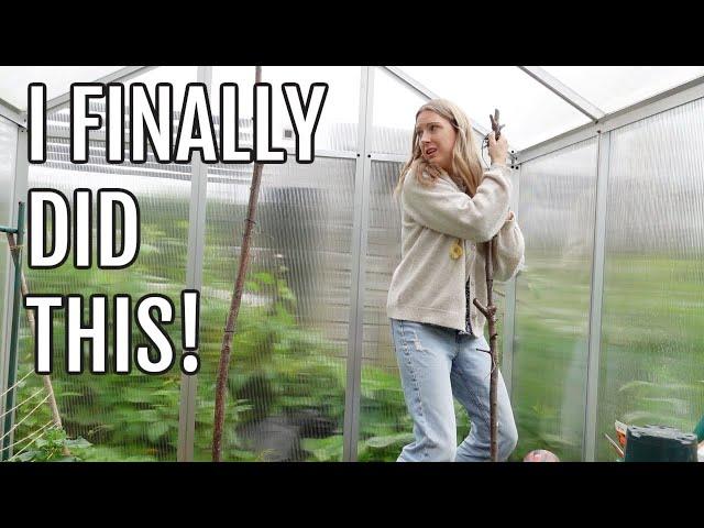 POLYCARBONATE GREENHOUSE CHANGES / ALLOTMENT GARDENING UK