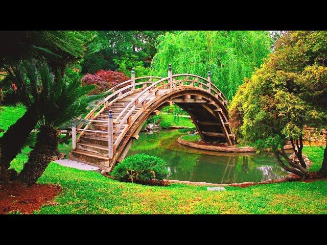 Top 10 Most Beautiful National Parks in the USA – Amazement