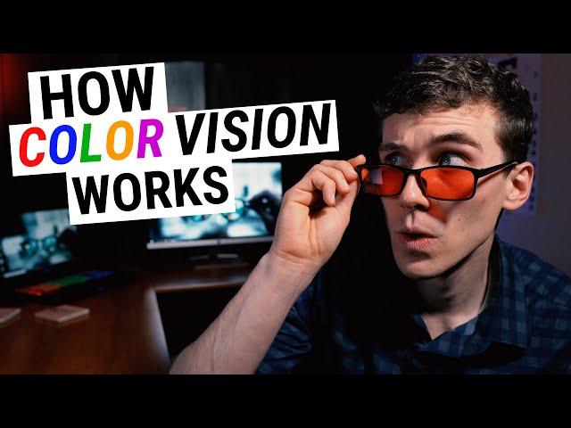 How COLOR VISION Works (Types of Color Blindness, Genetics & Disease)