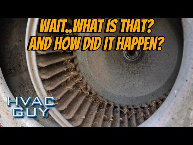Odd Find During Normal Repair! #hvacguy #hvaclife  #hvactechnician