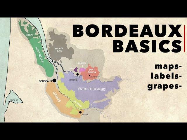 Wine 101 - BORDEAUX BASICS in 4 Minutes: Maps, Grapes, and Labels!