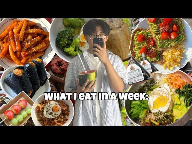 What i eat in a week in India (Korean + Indian)