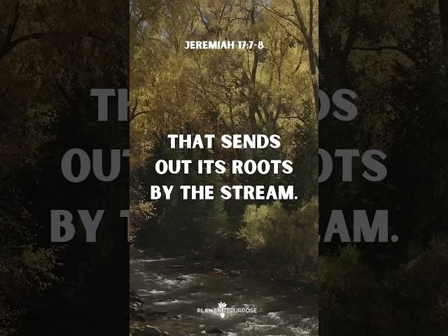 Jeremiah 17:7-8