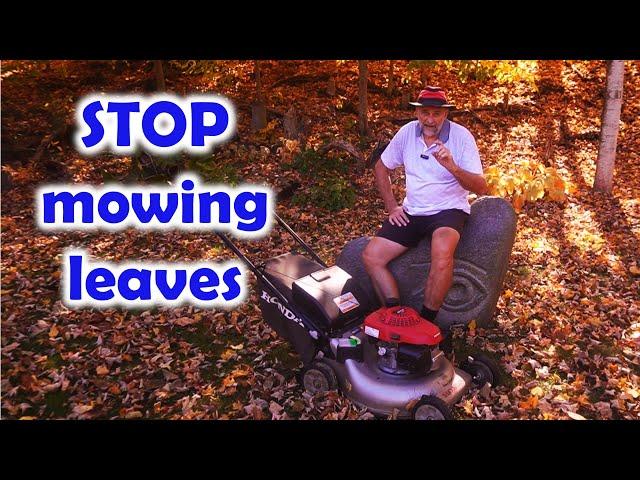 Stop Mowing Leaves