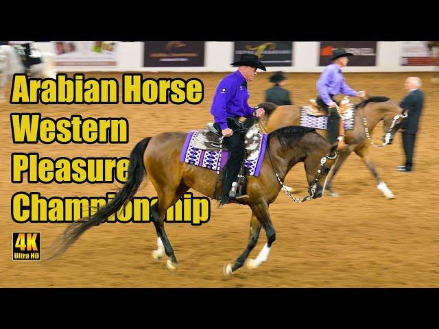 Arabian Western Pleasure Championship - Scottsdale Arabian Horse Show