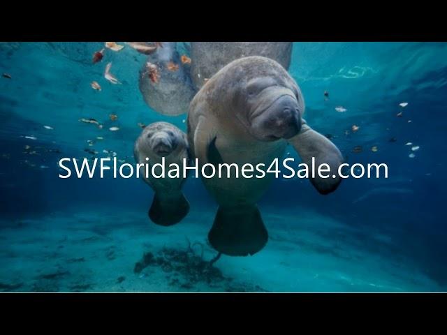 Top Real Estate Agents   Real Estate Agent Naples FL   Fort Myers FL