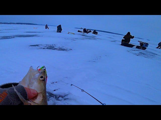 ВОТ и ХАПОК! ТОЛПА ГОНИТ РЫБУ! ПЕРВЫЙ ЛЁД 2024 на ВОДОХРАНИЛИЩЕ! Зимняя рыбалка 2024!