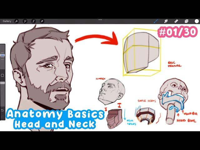 how to DRAW the head and neck! (Basic to Advanced) | Full Drawing Tutorial - Art Bootcamp #01/30