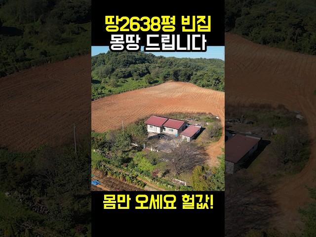 땅2638평 깔끔한 빈집~ 몽땅 드립니다 횡재하는 보물 발견