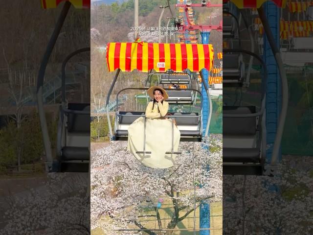 [서울대공원 벚꽃축제 X 조선여자 모나]2025년 벚꽃축제 리뷰