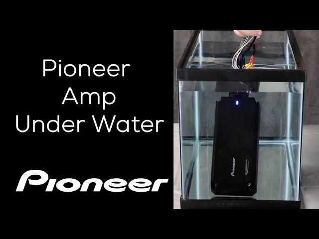 Pioneer Power Sports and Marine Amp - GM-ME300X4C - What's in the Box?