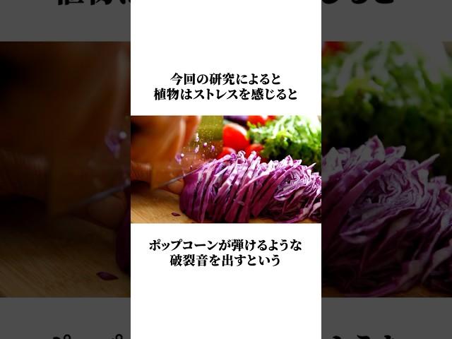 【新発見】植物はストレスを感じると悲鳴を上げる？