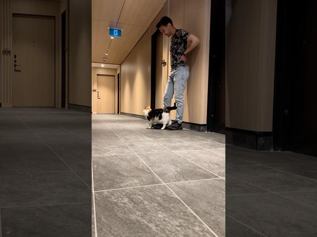 She knows which one is the Italian boyfriend ️