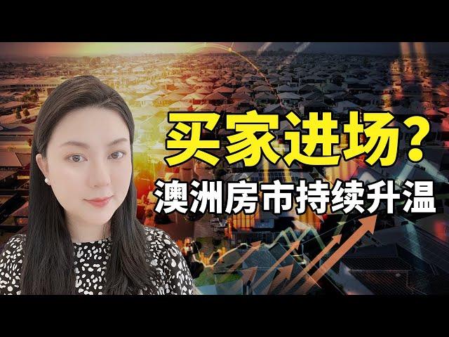 澳洲房价触底反弹，买家开始进场？2023年8月房市回顾