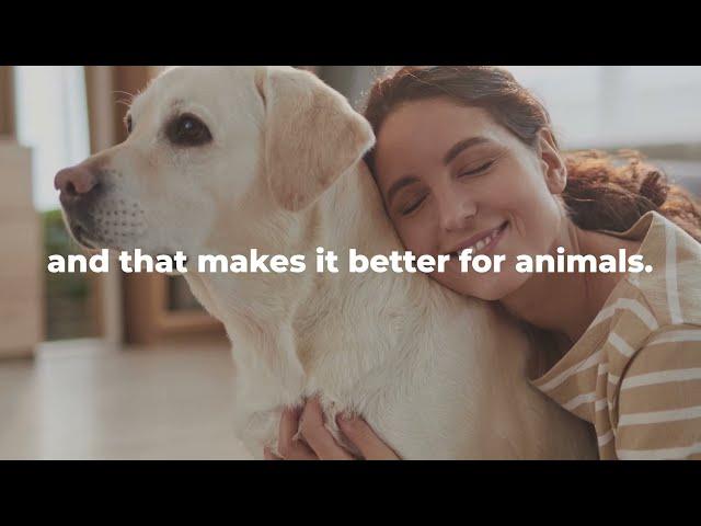 Modern Animal: Case Study in Innovation