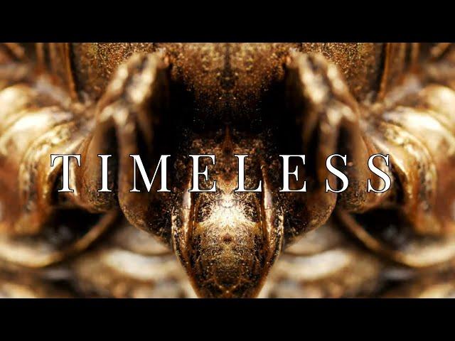 Kryour - Timeless (Official Music Video)