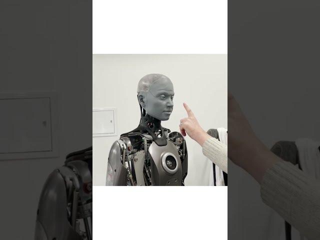 Robot plays with human