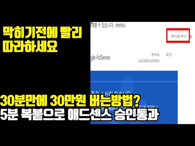 (무료배포)역대급 챗GPT 승인봇 개발...업자들이 쓰는 구글 애드센스 승인 비법 노하우 폭로