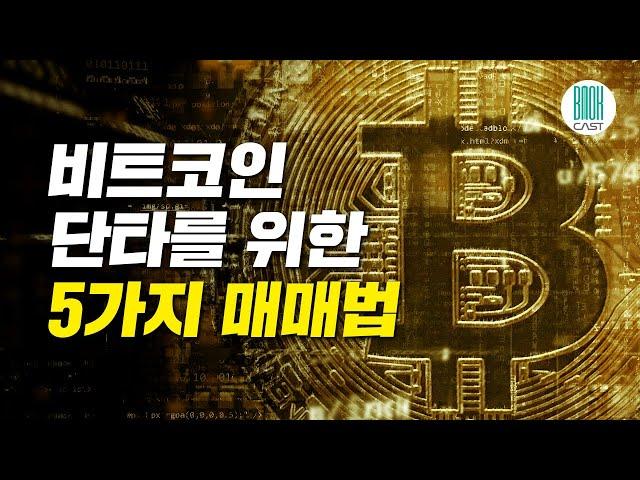 가상화폐 단타의 정석 - 나씨TV 비트코인 단타의 모든 것