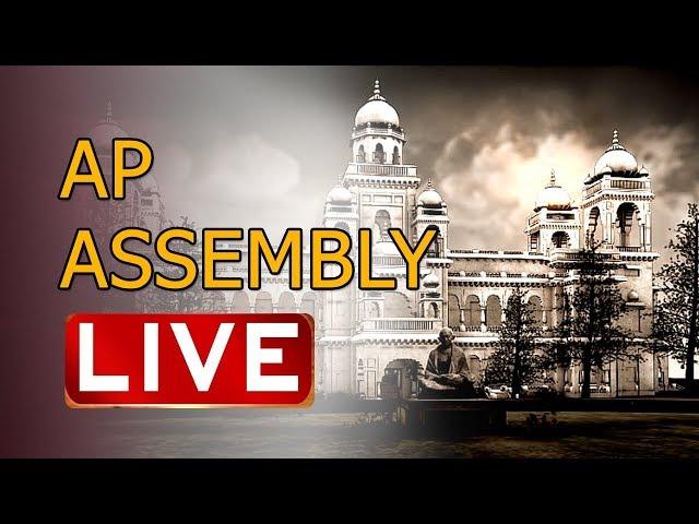 AP Assembly session LIVE || AP Special Status || Bifurcation promises - TV9