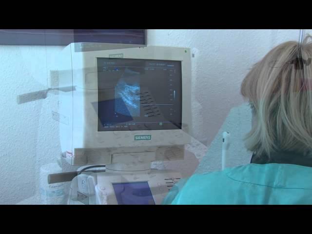 Dr. Wolf Hyperthermie Zentrum Hannover