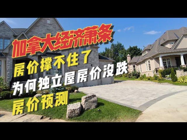 加拿大经济很糟糕，房价撑不住了，独立屋价格为什么没怎么跌？现在的房价和90年代降息时很像，房价预测，未来房价要看这几个数据