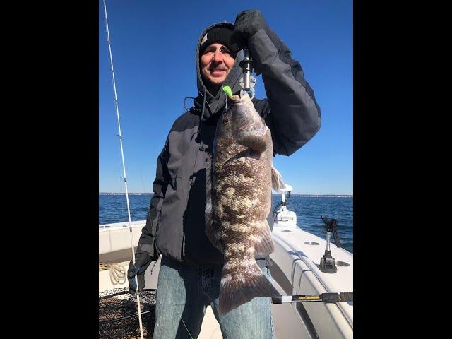 Blackfish (Tautog) Jigging with 2 Beginners - Unexpected Results