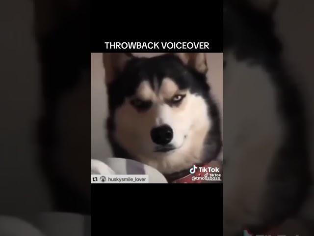 EVIL DOG VOICEOVER!! 