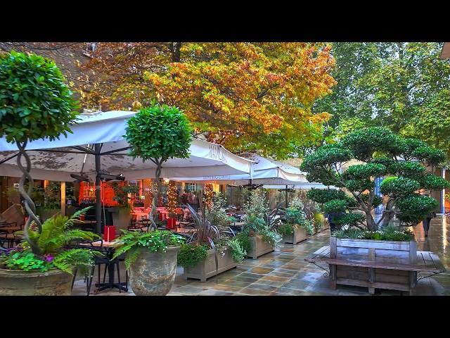 Rainy London Autumn Halloween Walk  Belgravia, Chelsea & Knightsbridge | 4K HDR