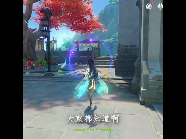 #原神#原神剪辑#原神风蛋 Shen Yugu锚点实际相连...