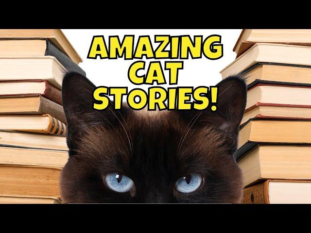 A Cat Accurately Predicted up to 100 DEATHS! | 8 TRUE Cat Stories