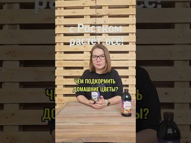Чем подкормить комнатные цветы