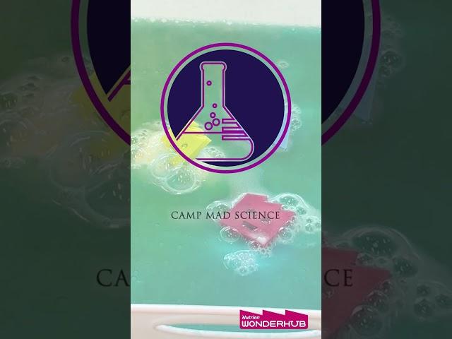 Mad Science