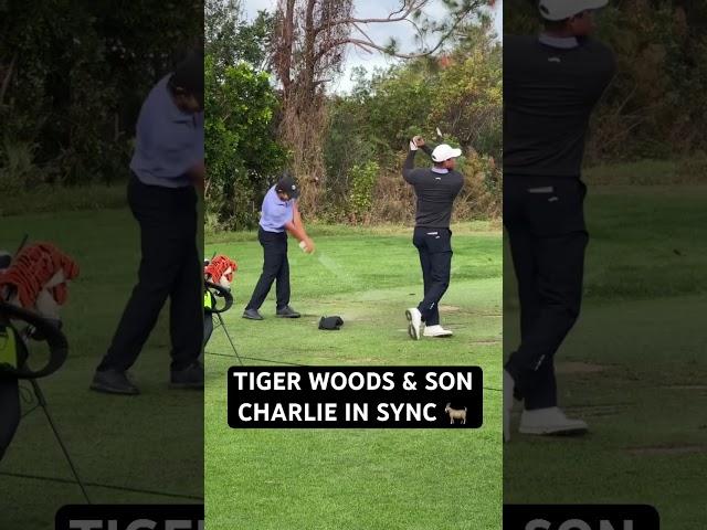 Tiger & Charlie Woods in Sync