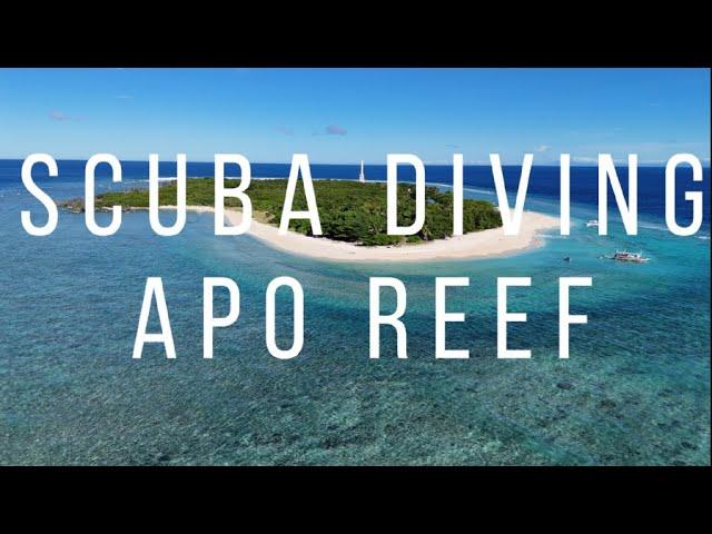 Scuba Diving Apo Reef (Mini Tubbataha) on a Budget