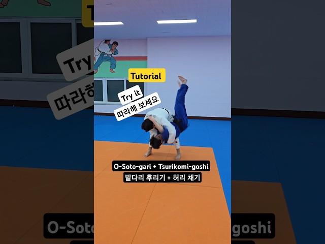 밭다리 후리기+허리 채기 O-Soto-gari+Tsur ikomi-goshi #유도 #judo #유도기술 #judotechniques #ippon#柔道 #judô #주짓수 #bjj
