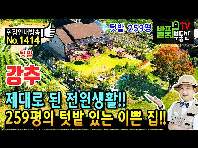 (급매) 석달만에 또 내리게 되었습니다!! 충남 금산 전원주택 토지 매매 급매물 다양한 작물 재배 가능한 259평의 텃밭 고급 인테리어의 숲속 주택 금산부동산 - 발품부동산TV