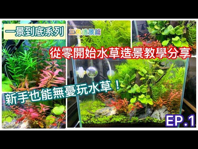 AS.CUBE 水族[水草缸設置EP1] 只要選對新手水草！漂亮水草缸隨手得！Right choices of plant brings you nice aquarium!