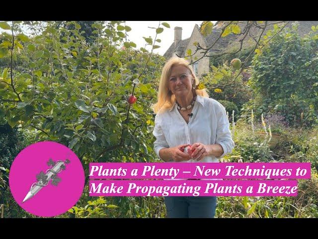 Plants a Plenty – New Techniques to Make Propagating Plants a Breeze