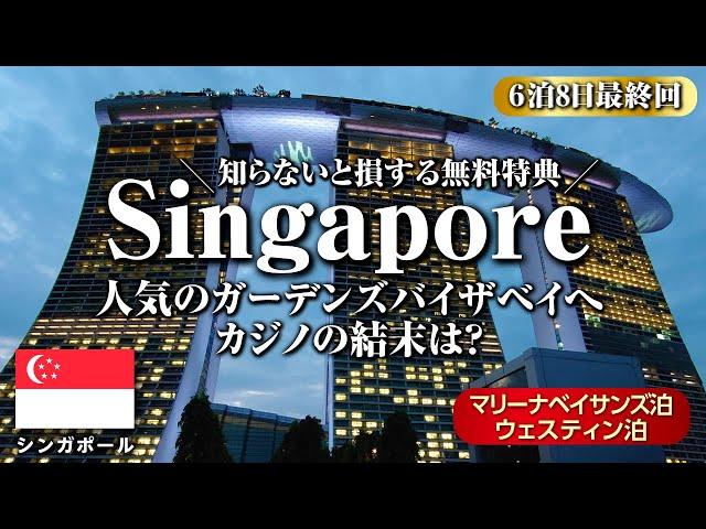 Singapore vlogPopular Gardens by the Bay｜Near Future SpotsMarina Bay Sands